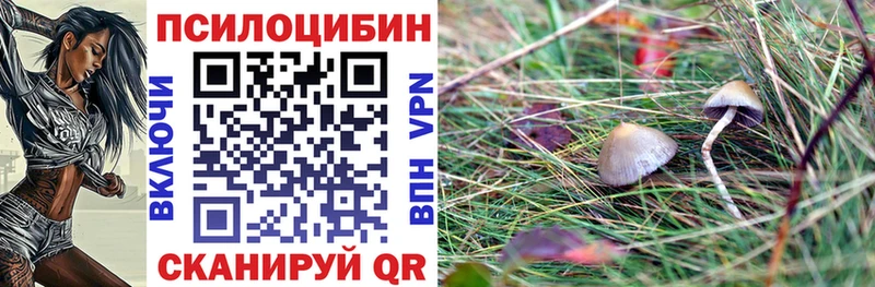 блэк спрут онион  Борзя  Псилоцибиновые грибы прущие грибы  купить  